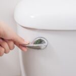 Northridge Residents-What Not To Flush Down Your Toilet!