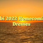 Tobi 2022 Homecoming Dresses