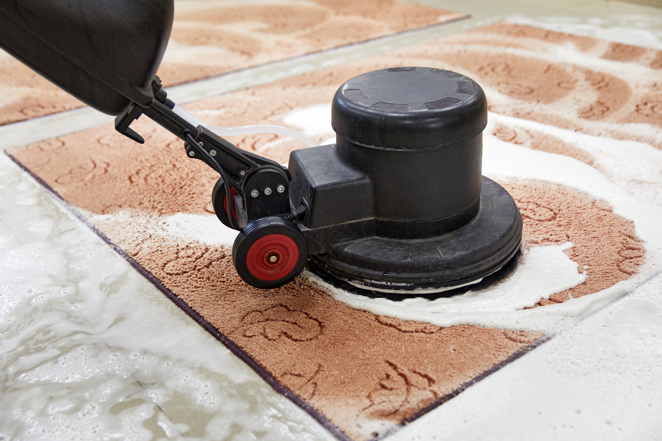 Where to Find Expert Carpet Cleaning With Exceptional Service and Customer Satisfaction in the UK
