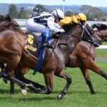 Where to Find the Best Horse Racing Tips Online