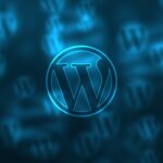 What Is a WordPress Developer
