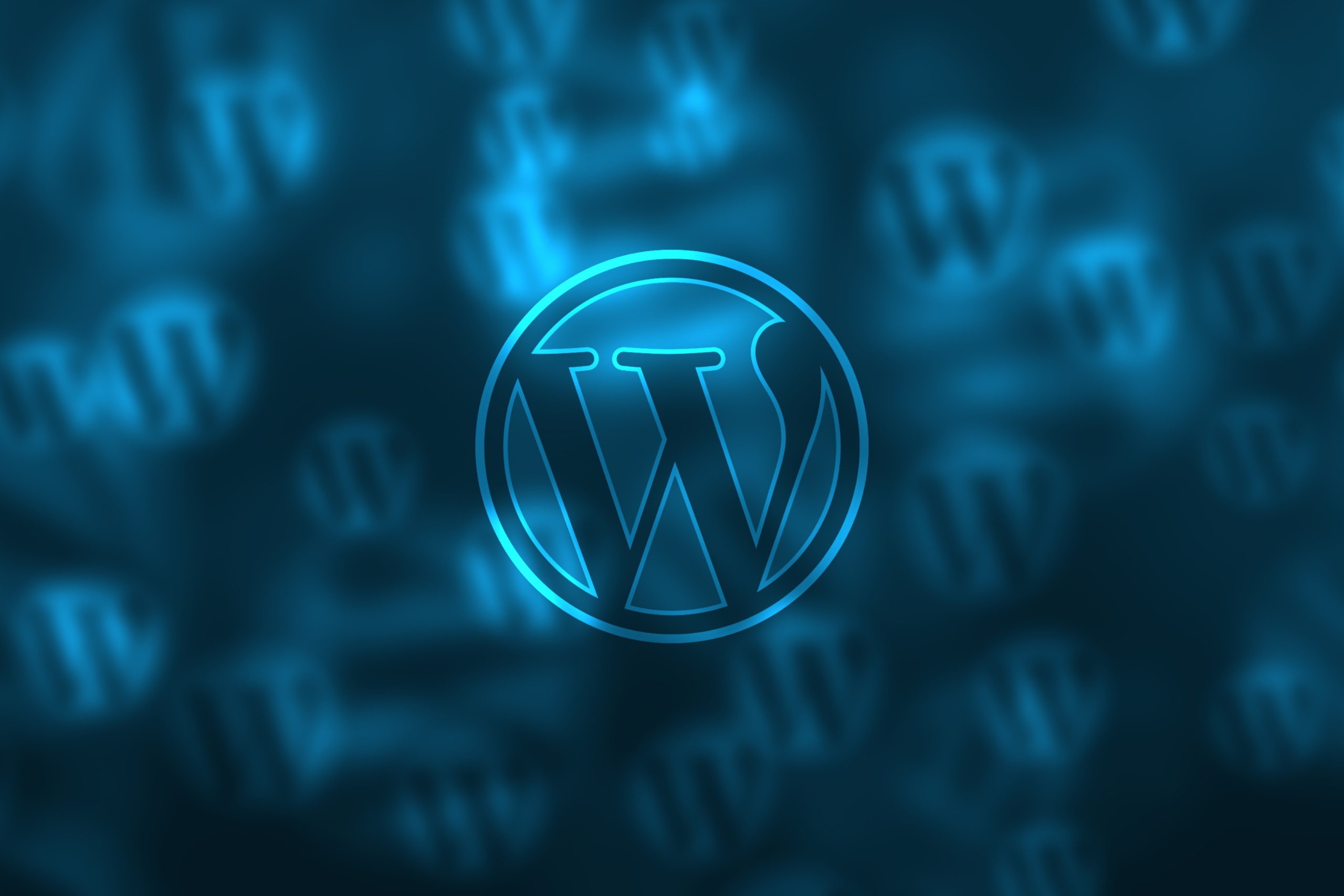 What Is a WordPress Developer