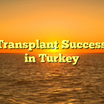 Hair Transplant Success Rate in Turkey