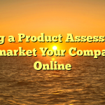 Using a Product Assessment to market Your Company Online