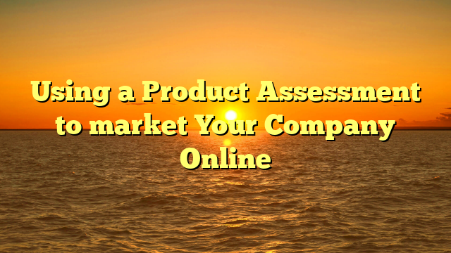 Using a Product Assessment to market Your Company Online