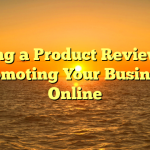 Using a Product Review in promoting Your Business Online