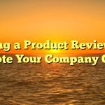 Using a Product Review to Promote Your Company Online