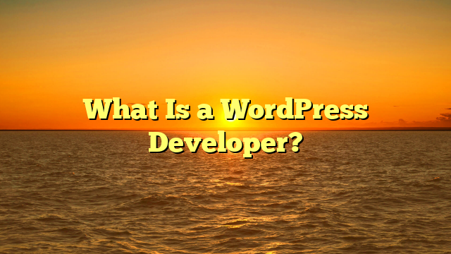 What Is a WordPress Developer?