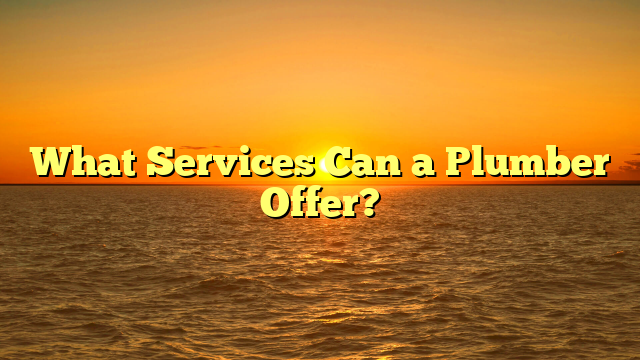 What Services Can a Plumber Offer?