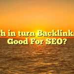 Which in turn Backlinks Are Good For SEO?